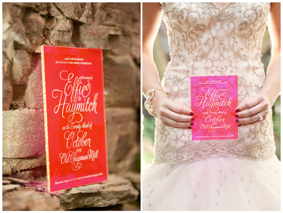Effie and Haymitch's Hunger Games Mockingjay Inspired Wedding I Virginia Wedding Photographer I Mollie Tobias Photography-7