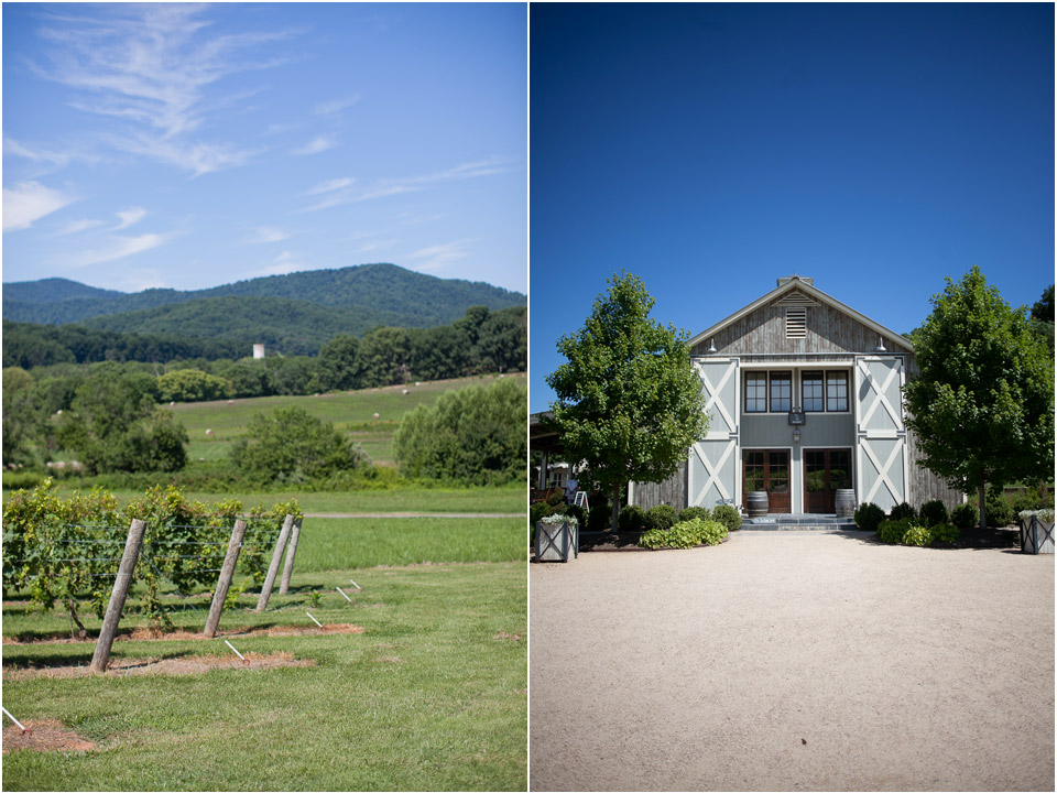 Pippin-Hill-Farm-Vineyard-Wedding-Venue-Charlottesville-Virginia