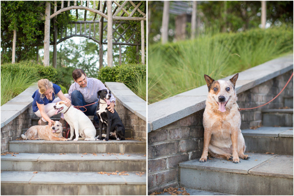 engagement session at Pinehurst arboretum with dogs