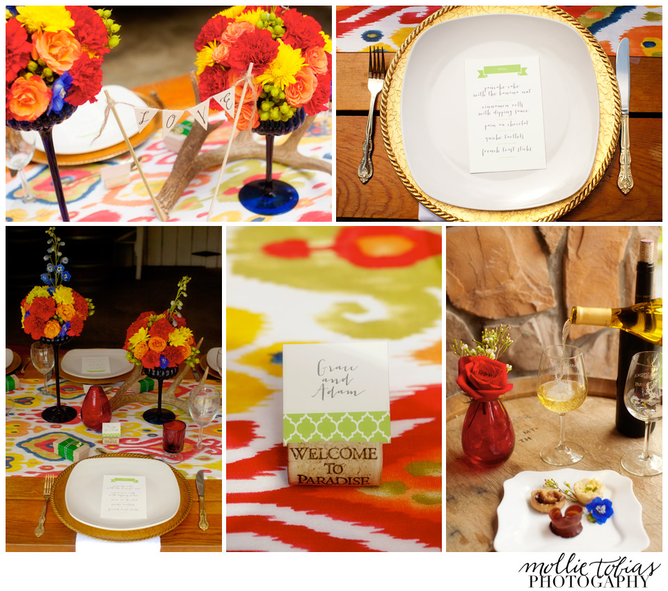 mollie-tobias-Manassas-VA-MD-DC-wedding-photography-Paradise-Springs-winery-same-sex-styled-shoot-tablescapes