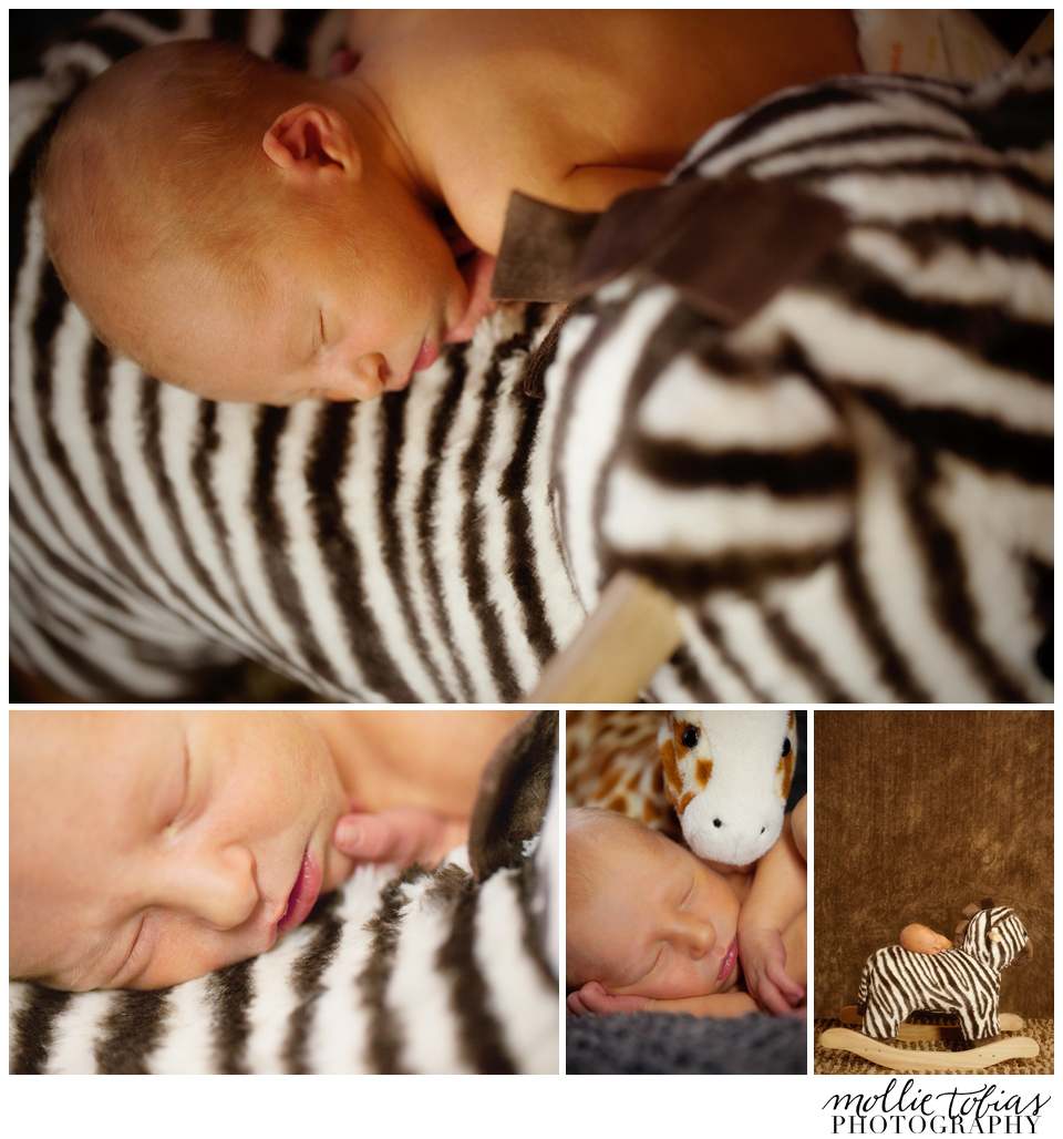 Manassas, Va Newborn Photography - Baby A