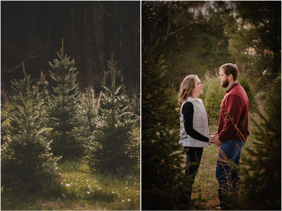 christmas-tree-farm-engagement-session-in Culpeper