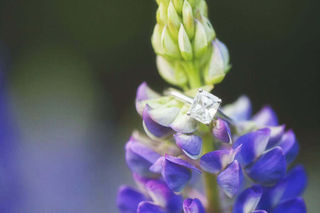 engagement-ring-shot-purple-flowers