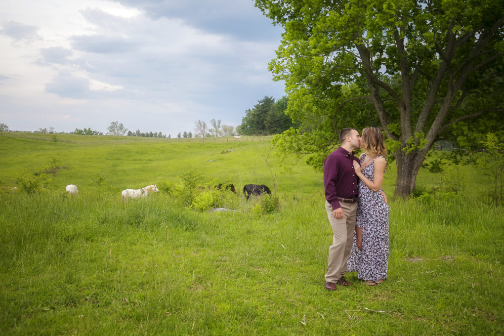 romantic-virginia-horse-country-engagement-session