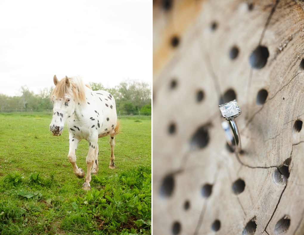 rustic-virginia-horse-country-engagement-session
