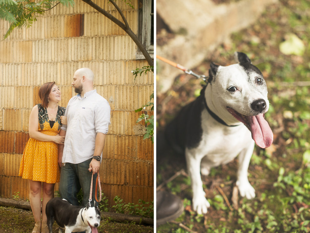 colorful-dog-friendly-engagement-session