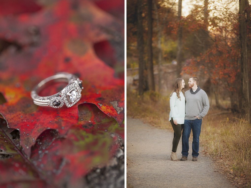 pretty fall engagement photos