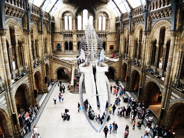 london-natural-history-museum-foyer