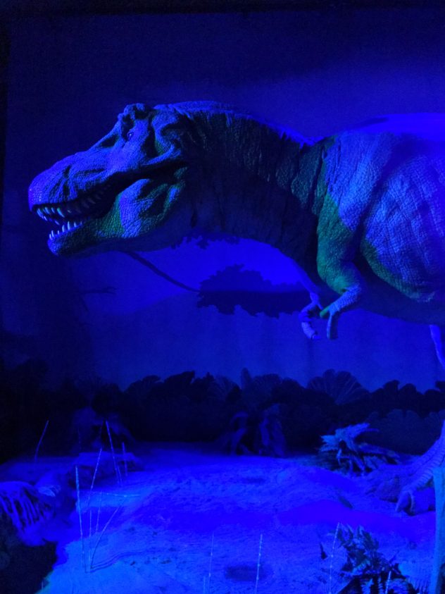 natural-history-museum-london-dinosaurs