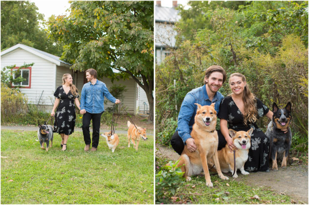 engagement with photos dogs