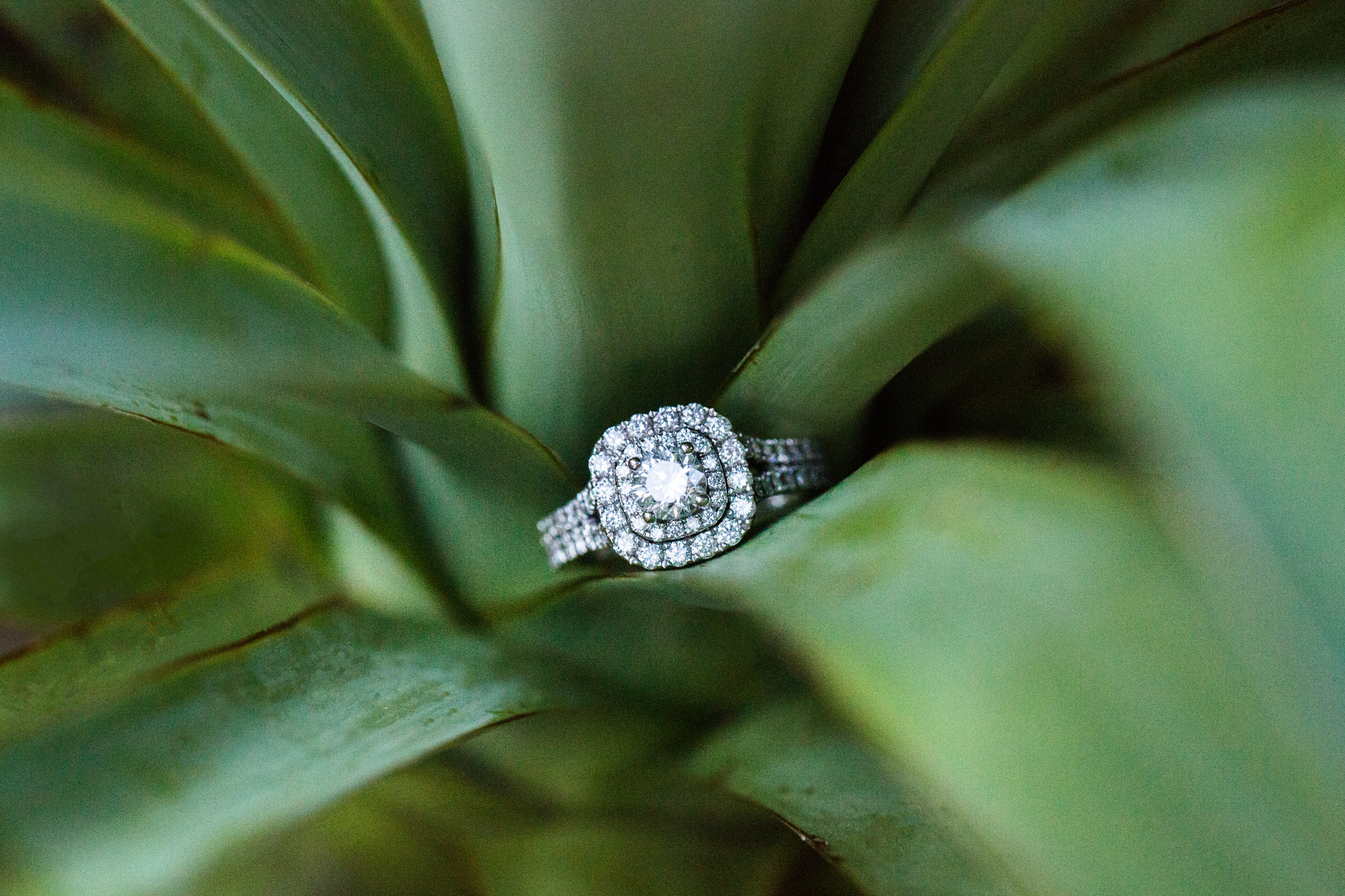 halo engagement ring at an outer banks engagement