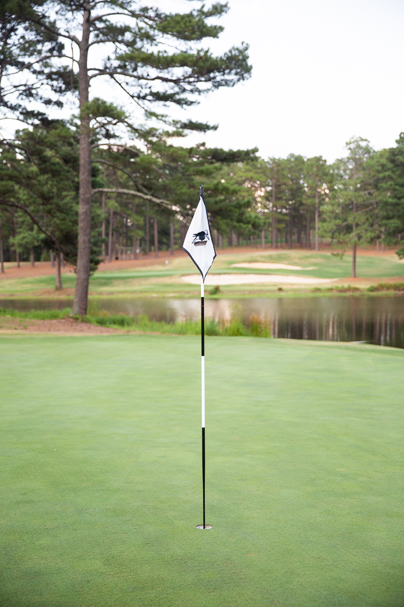 flag and green at Forest Creek Golf Course