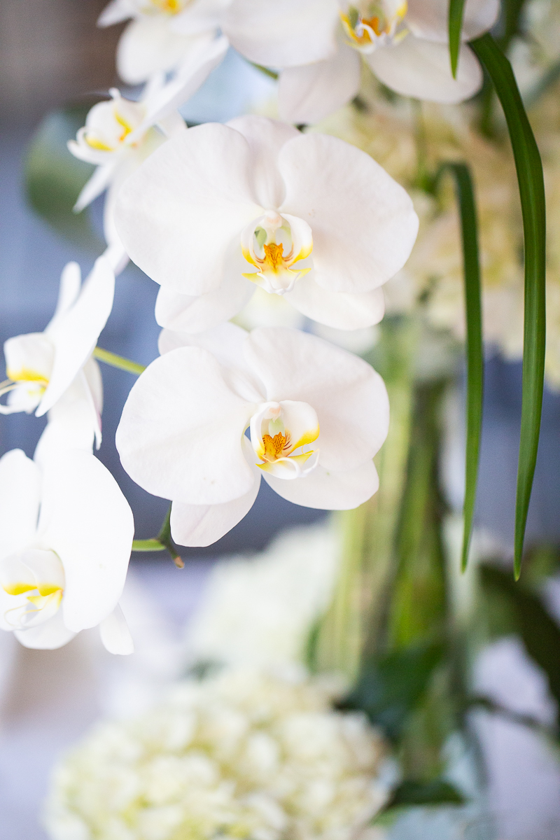 white orchid wedding flowers Hollyfield Design wedding