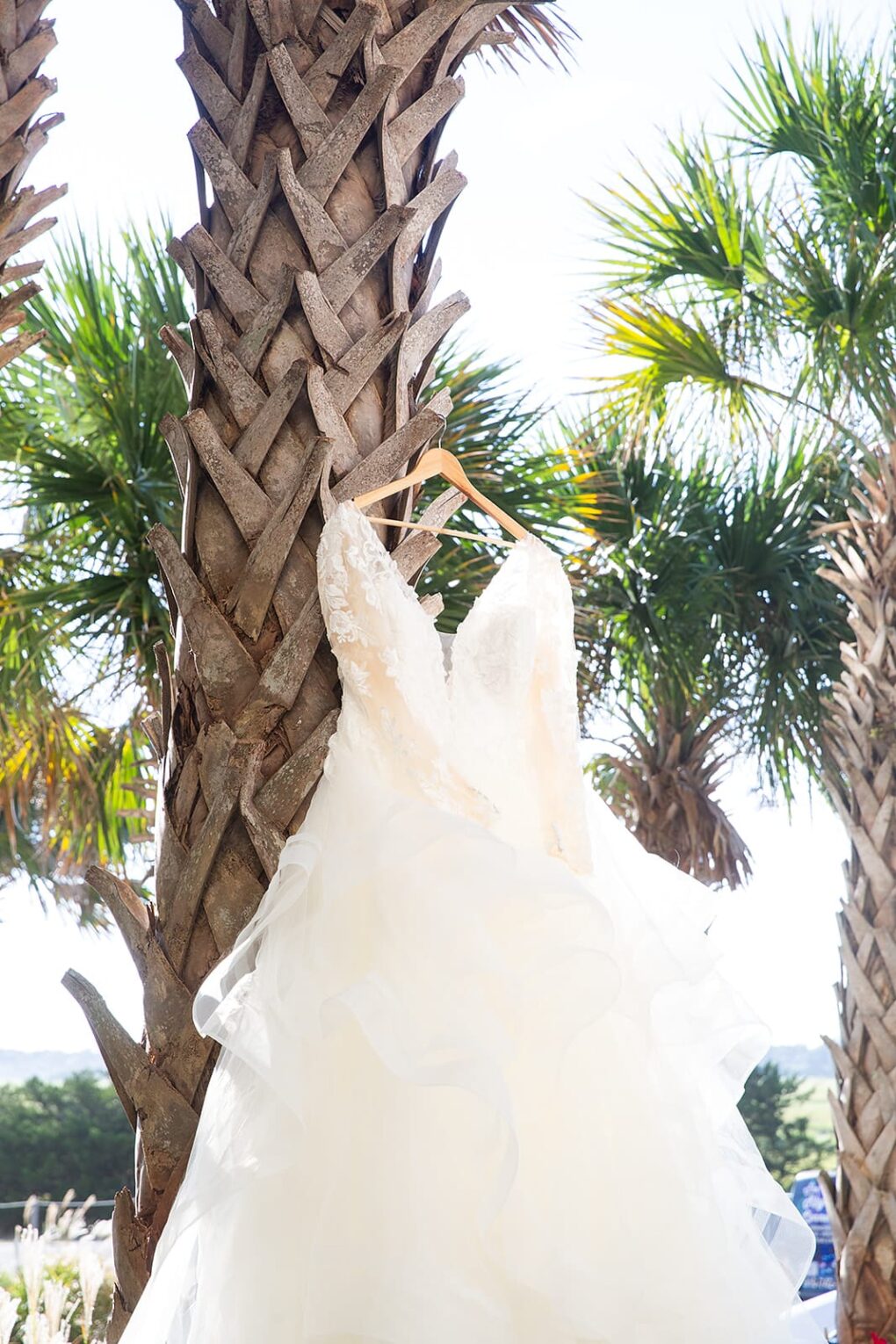 wedding dress hanging on palm tree at shell island resort during a NC beach wedding